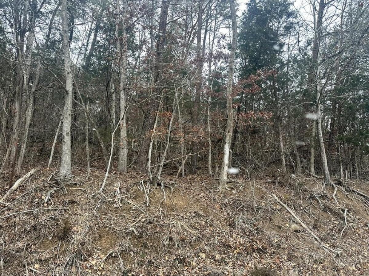 Picture of Residential Land For Sale in White Pine, Tennessee, United States