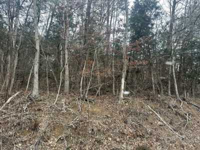 Residential Land For Sale in White Pine, Tennessee