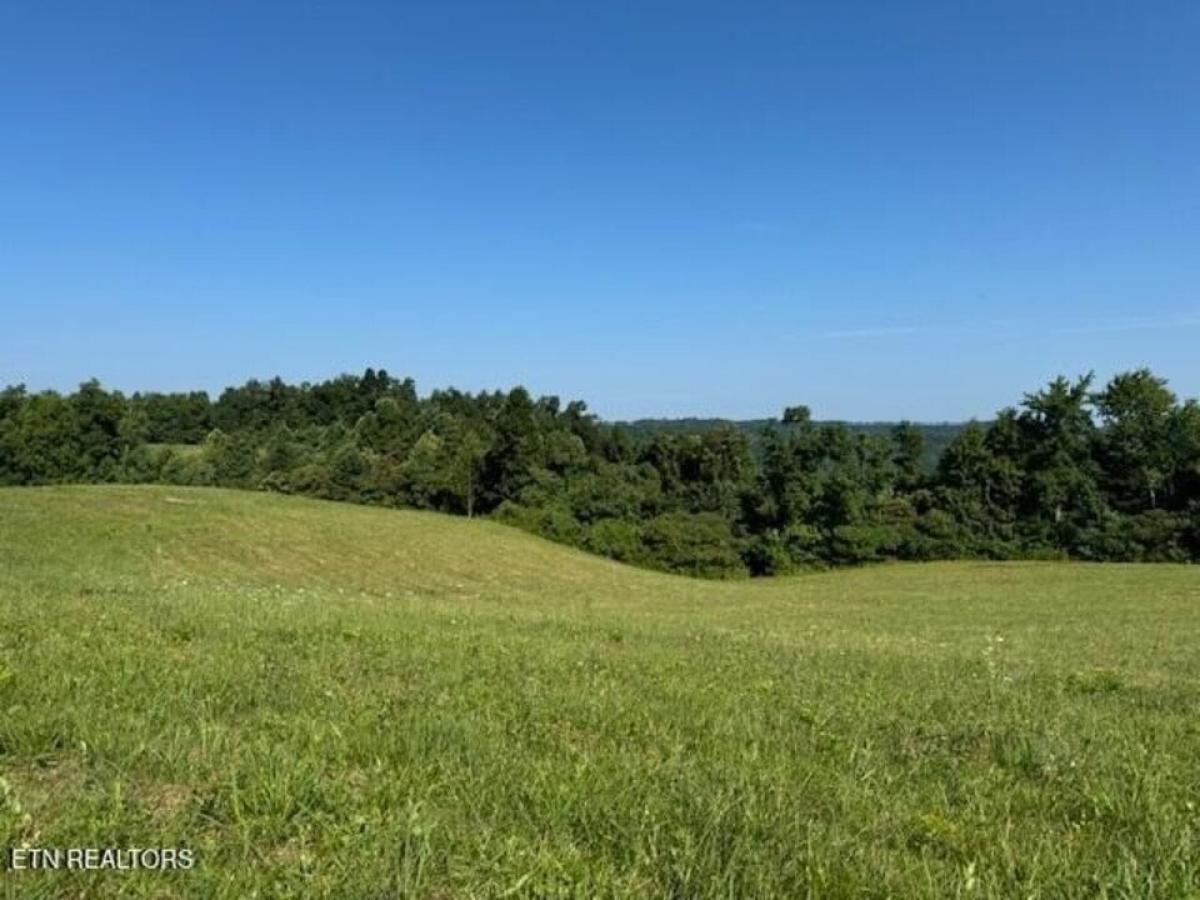 Picture of Residential Land For Sale in Jamestown, Tennessee, United States