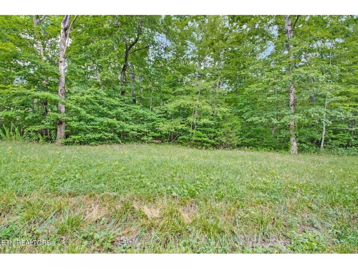 Picture of Residential Land For Sale in Pikeville, Tennessee, United States