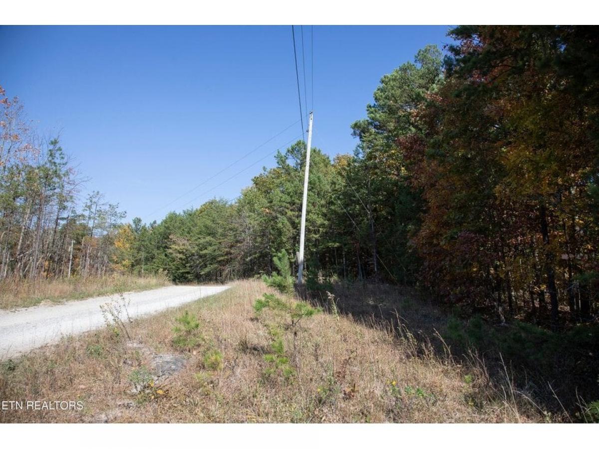 Picture of Residential Land For Sale in Crawford, Tennessee, United States