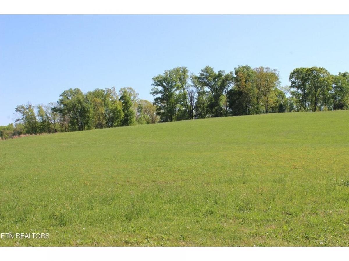 Picture of Residential Land For Sale in Madisonville, Tennessee, United States