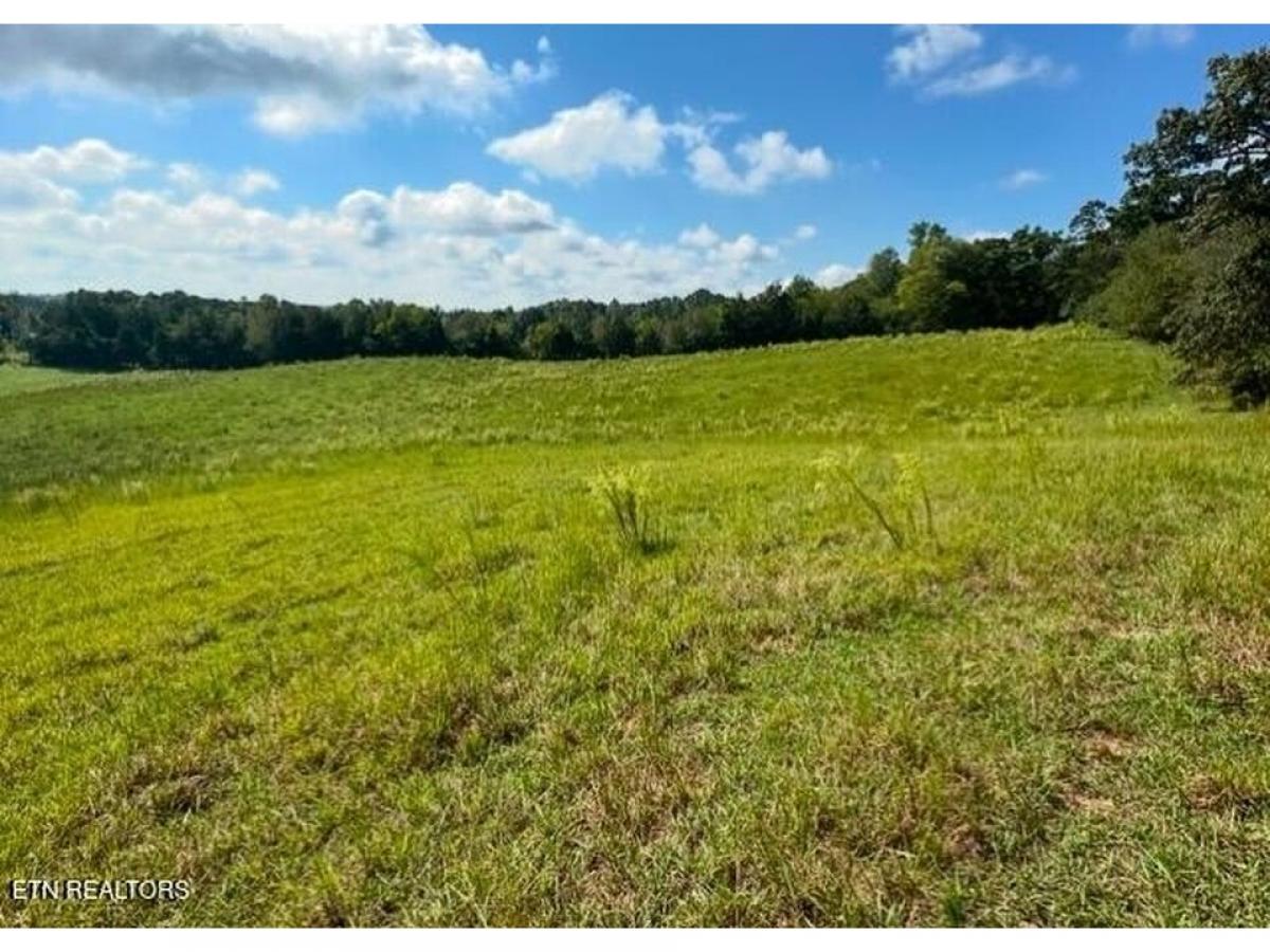 Picture of Residential Land For Sale in Riceville, Tennessee, United States