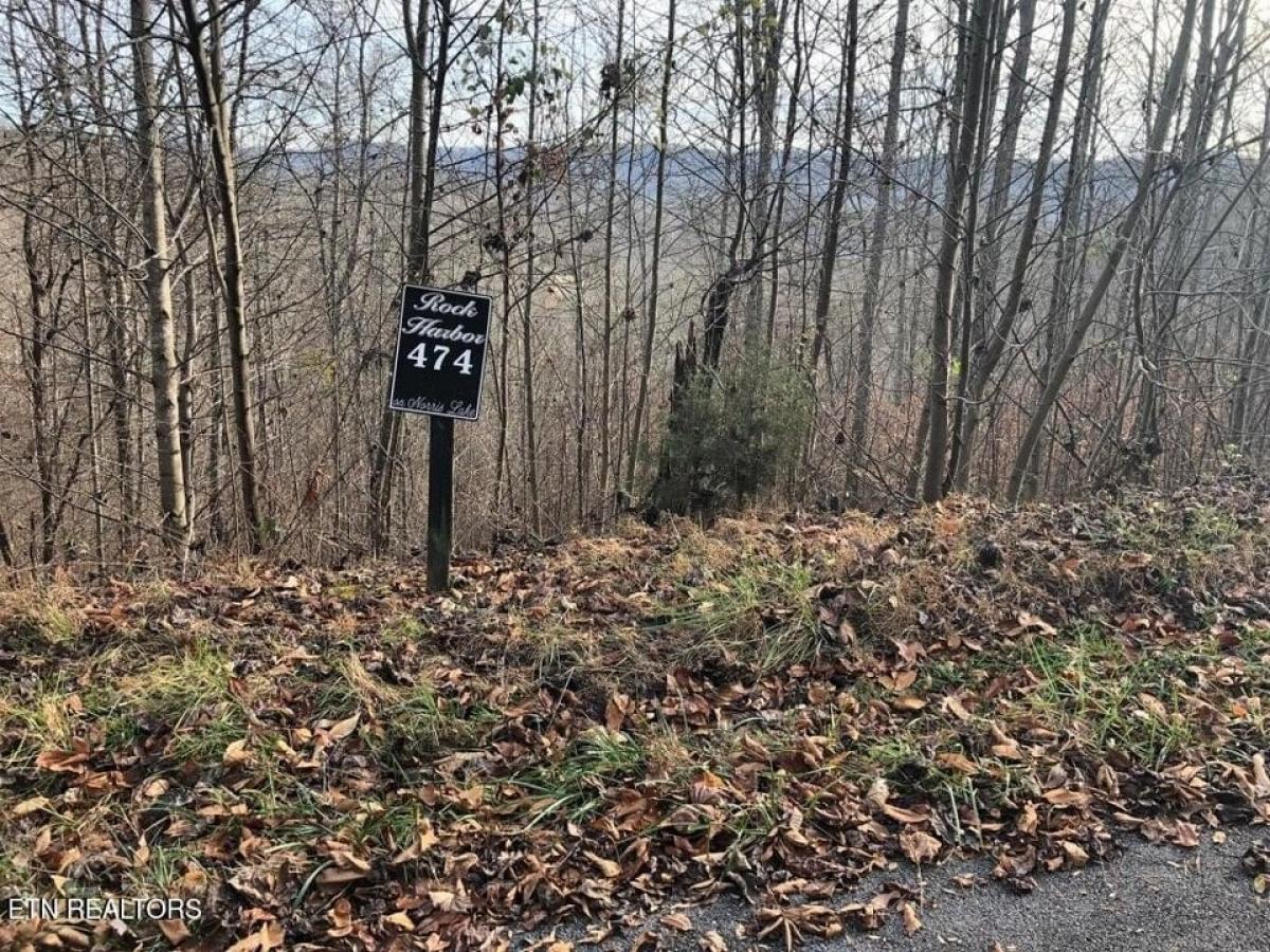 Picture of Residential Land For Sale in New Tazewell, Tennessee, United States