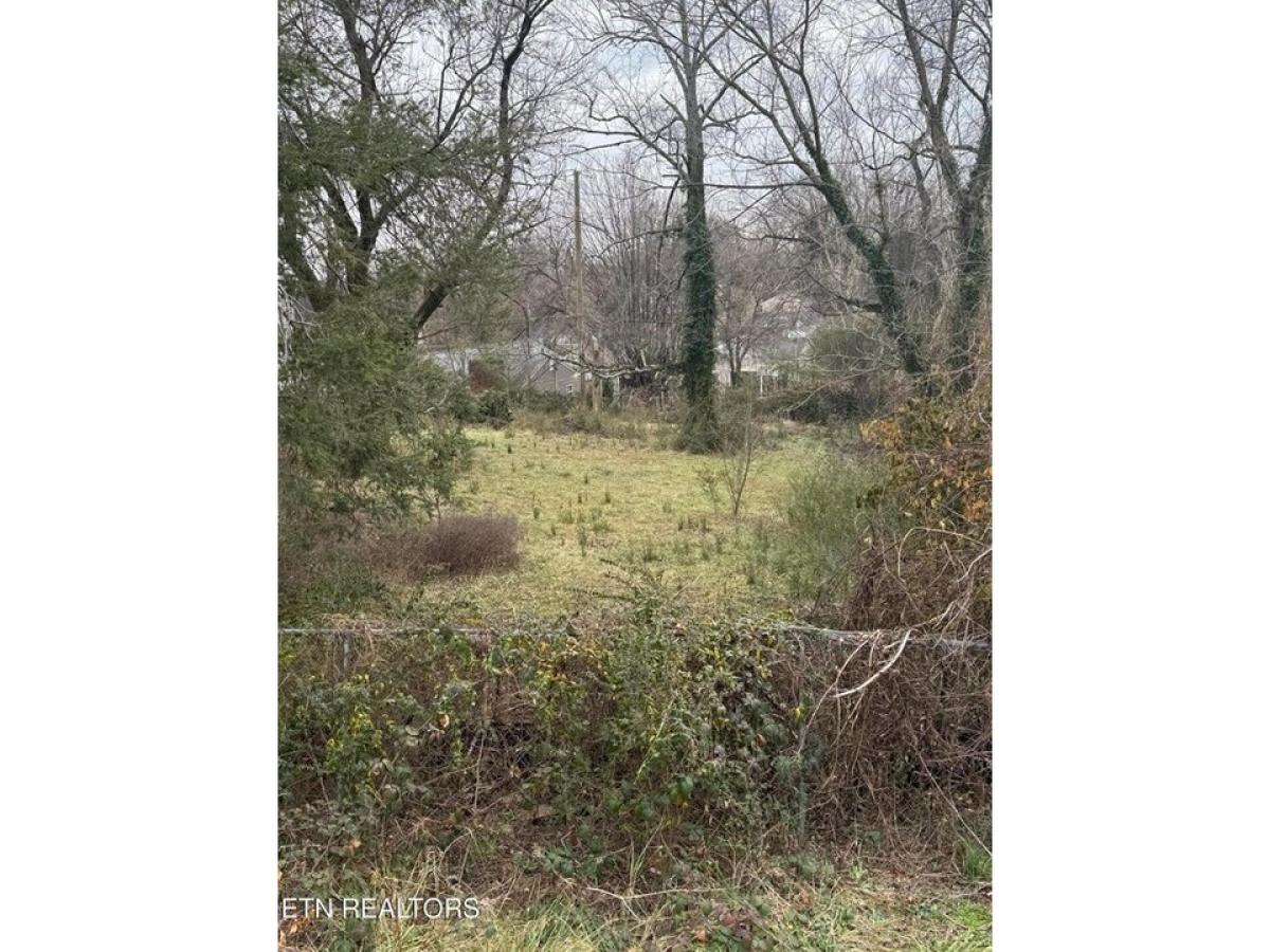 Picture of Residential Land For Sale in Knoxville, Tennessee, United States