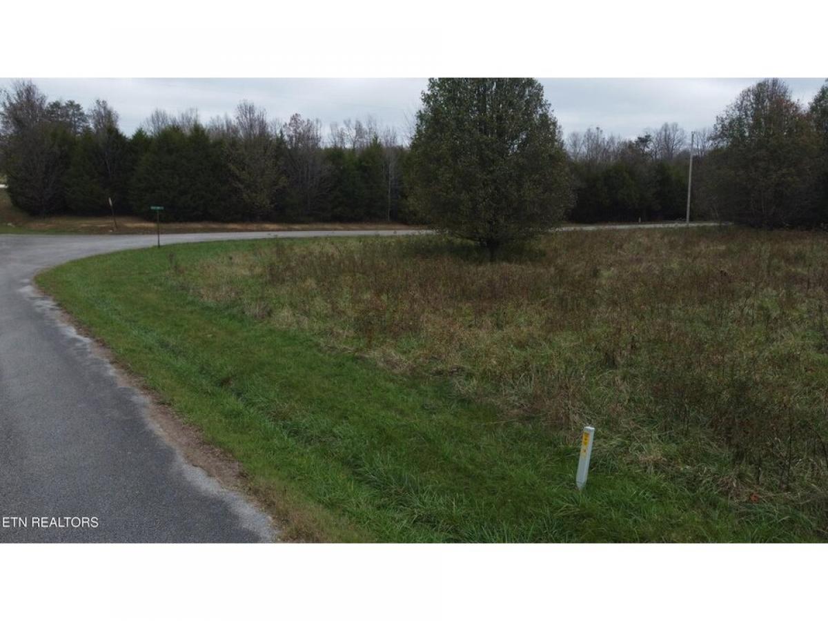 Picture of Residential Land For Sale in Sparta, Tennessee, United States