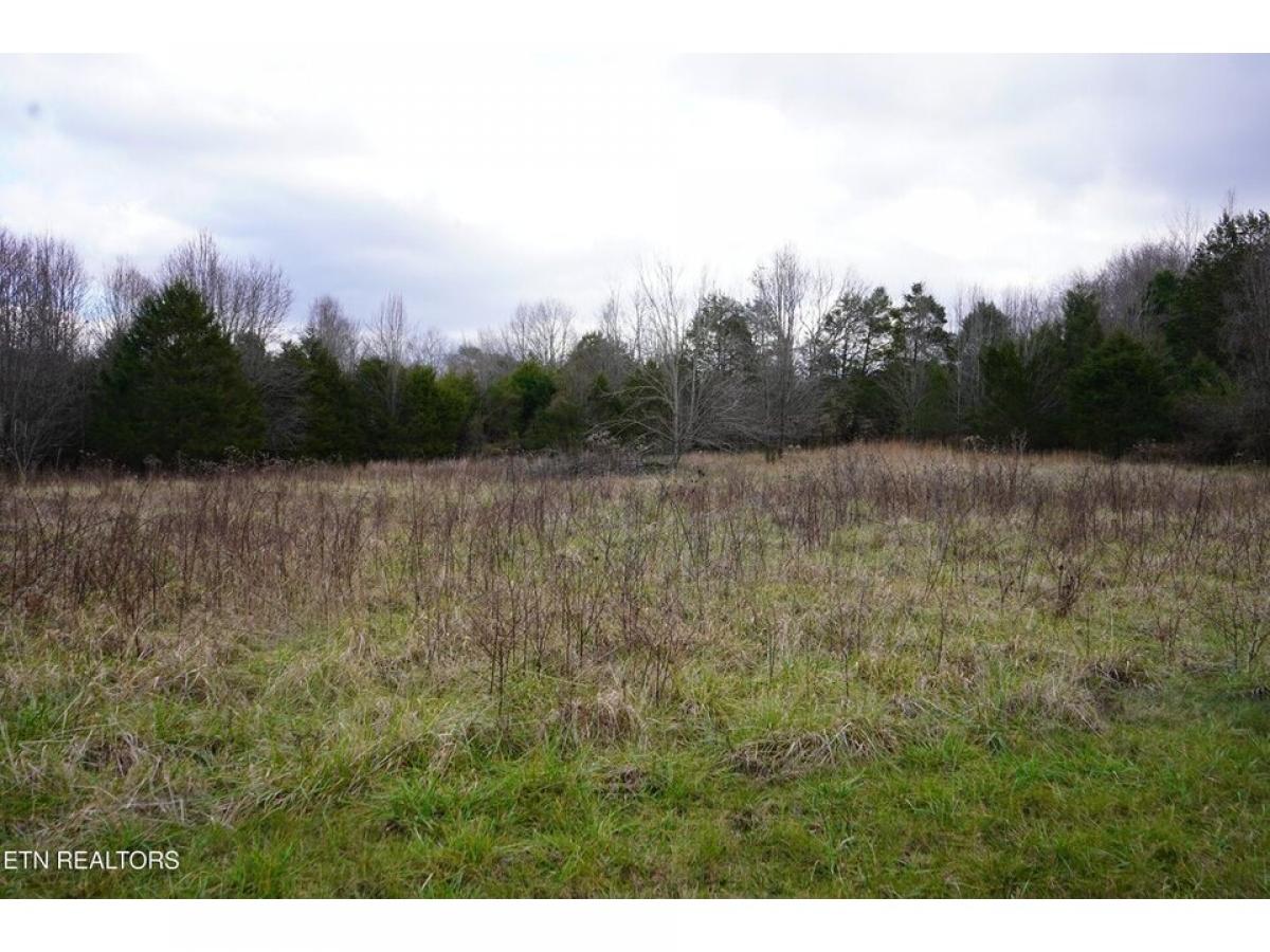 Picture of Residential Land For Sale in Sparta, Tennessee, United States