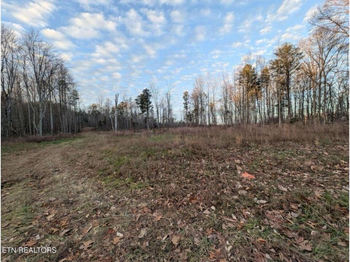 Picture of Residential Land For Sale in Jamestown, Tennessee, United States