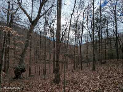 Residential Land For Sale in Jamestown, Tennessee