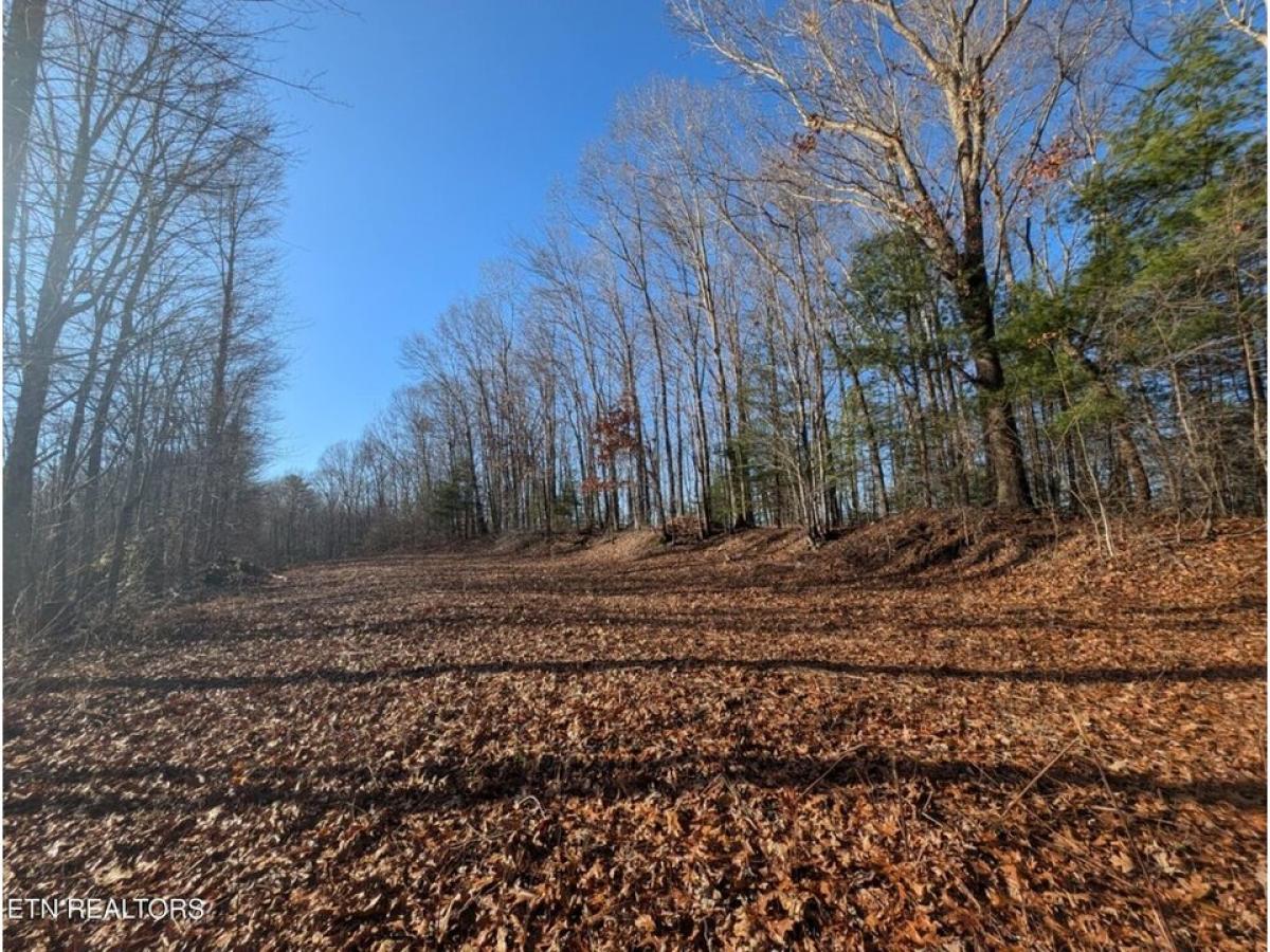 Picture of Residential Land For Sale in Lancing, Tennessee, United States