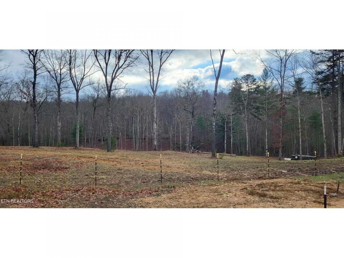 Picture of Residential Land For Sale in Jamestown, Tennessee, United States