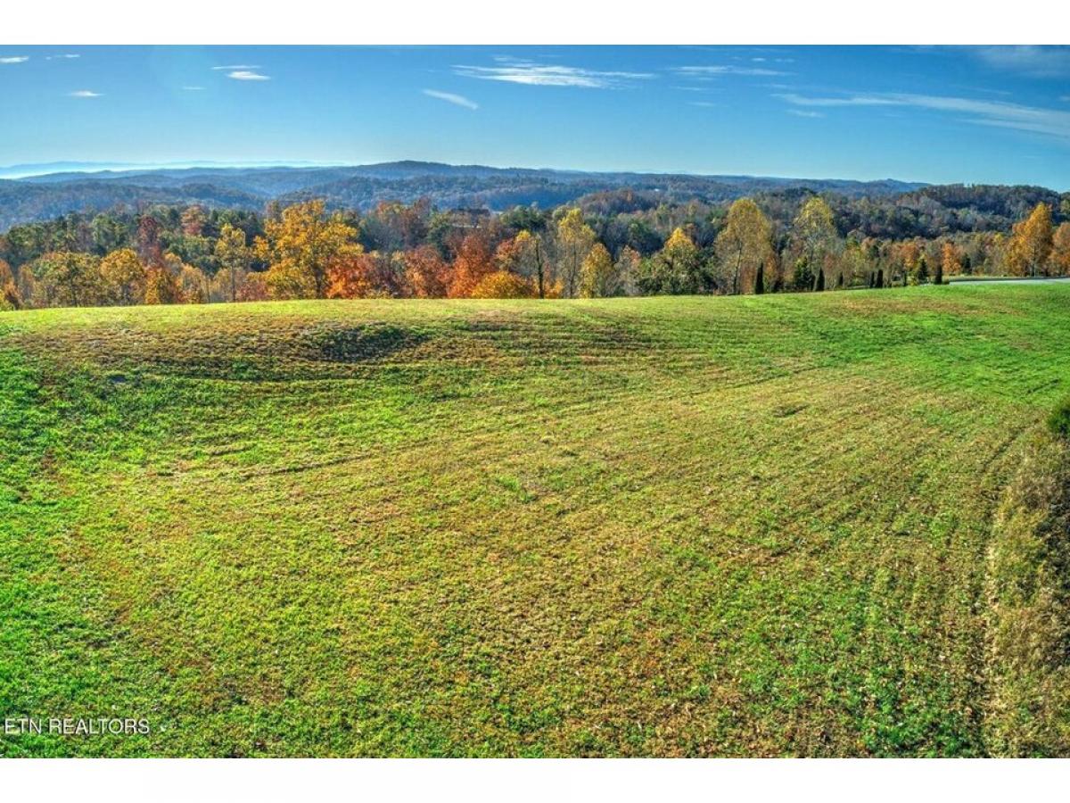 Picture of Residential Land For Sale in Kingston, Tennessee, United States