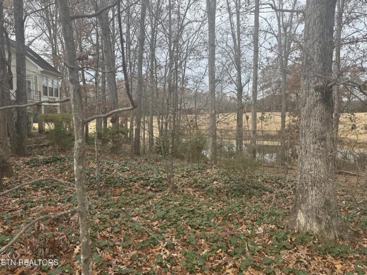 Picture of Residential Land For Sale in Loudon, Tennessee, United States