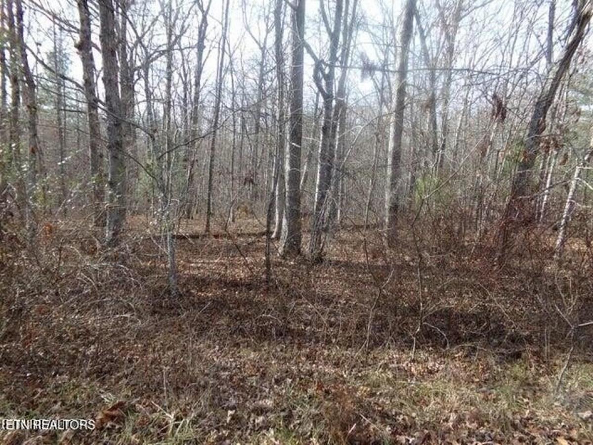 Picture of Residential Land For Sale in Crossville, Tennessee, United States