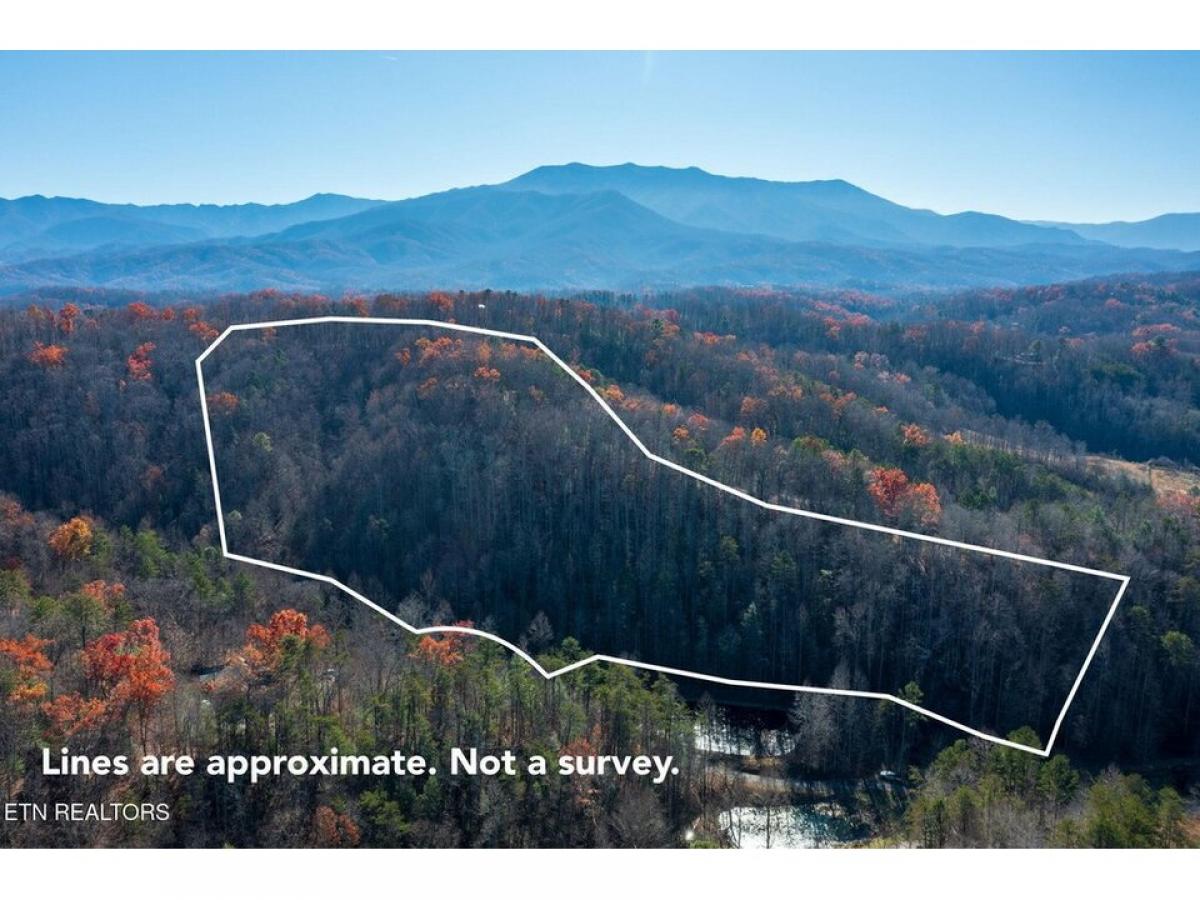 Picture of Residential Land For Sale in Sevierville, Tennessee, United States