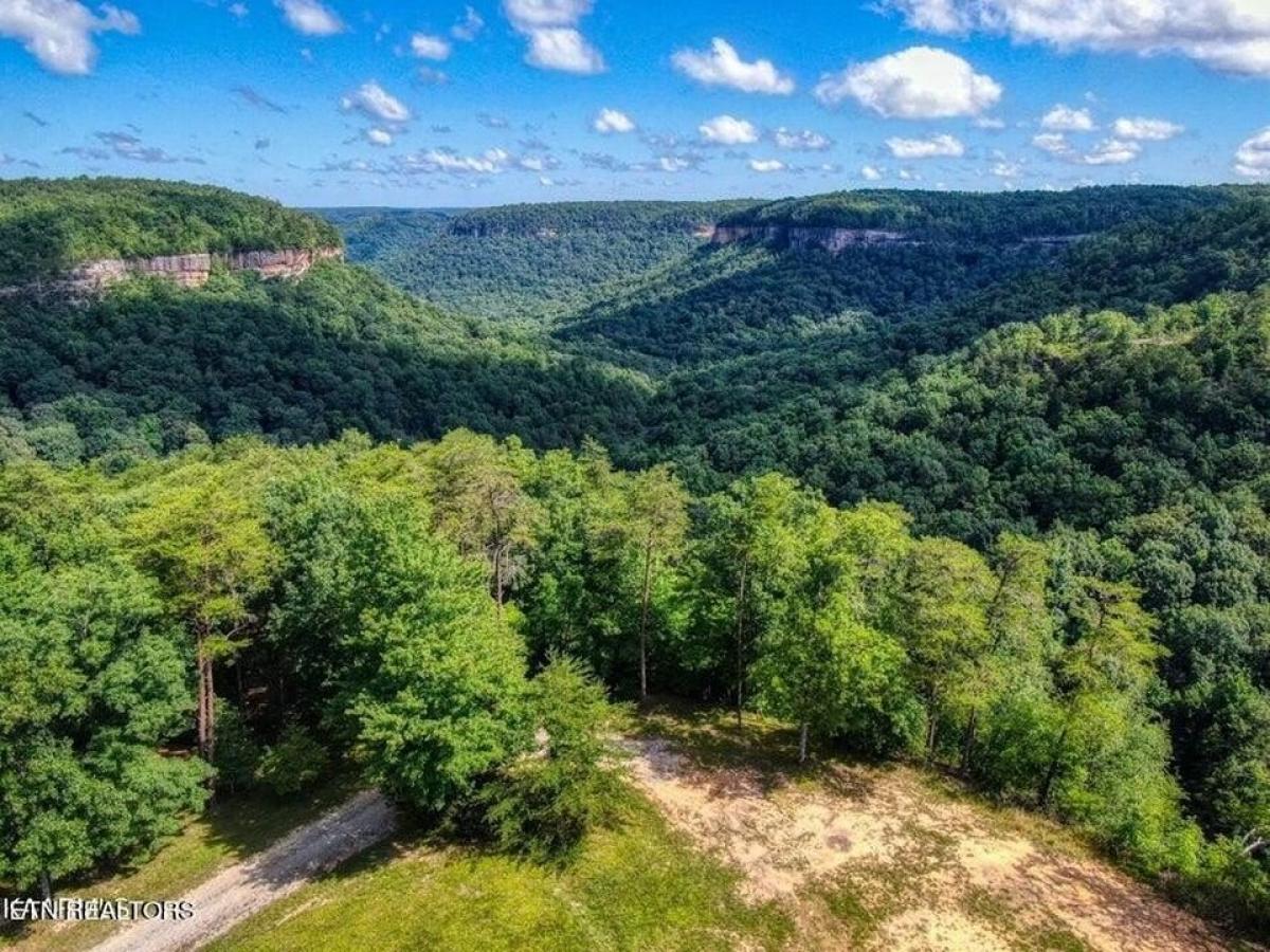 Picture of Residential Land For Sale in Jamestown, Tennessee, United States