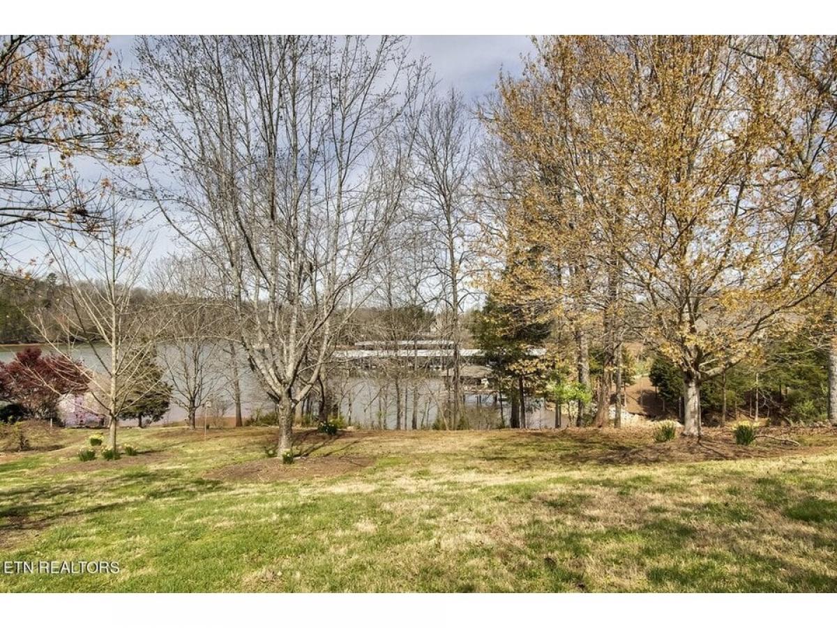 Picture of Residential Land For Sale in Vonore, Tennessee, United States