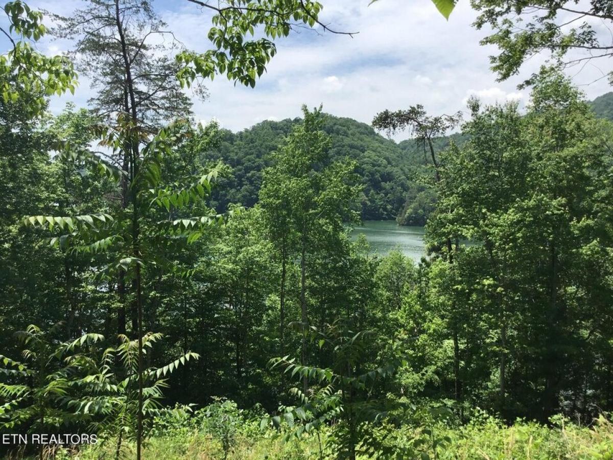 Picture of Residential Land For Sale in New Tazewell, Tennessee, United States