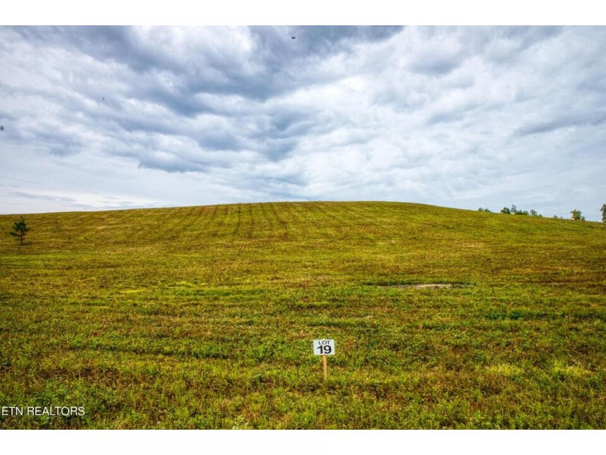 Picture of Residential Land For Sale in Allardt, Tennessee, United States