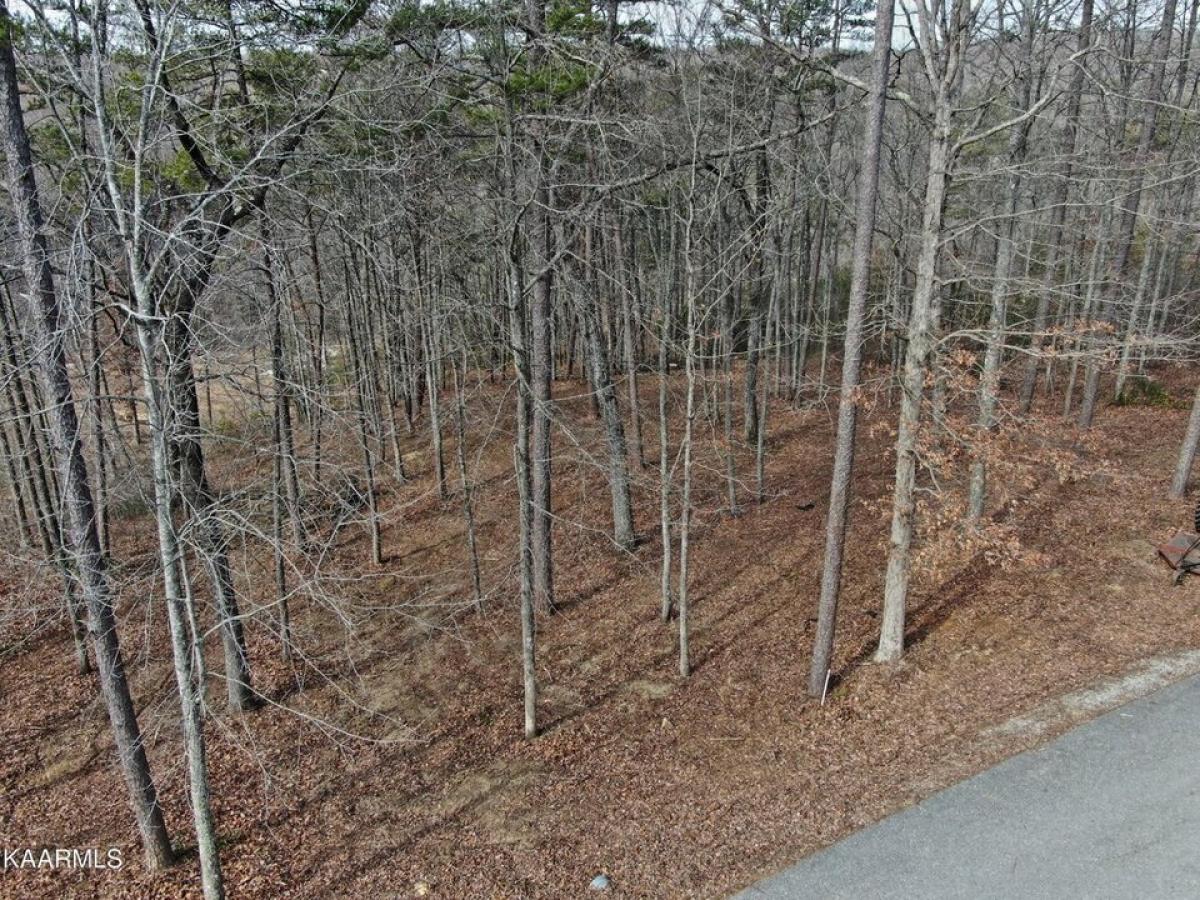 Picture of Residential Land For Sale in Jamestown, Tennessee, United States