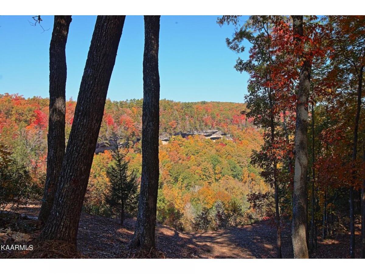 Picture of Residential Land For Sale in Jamestown, Tennessee, United States