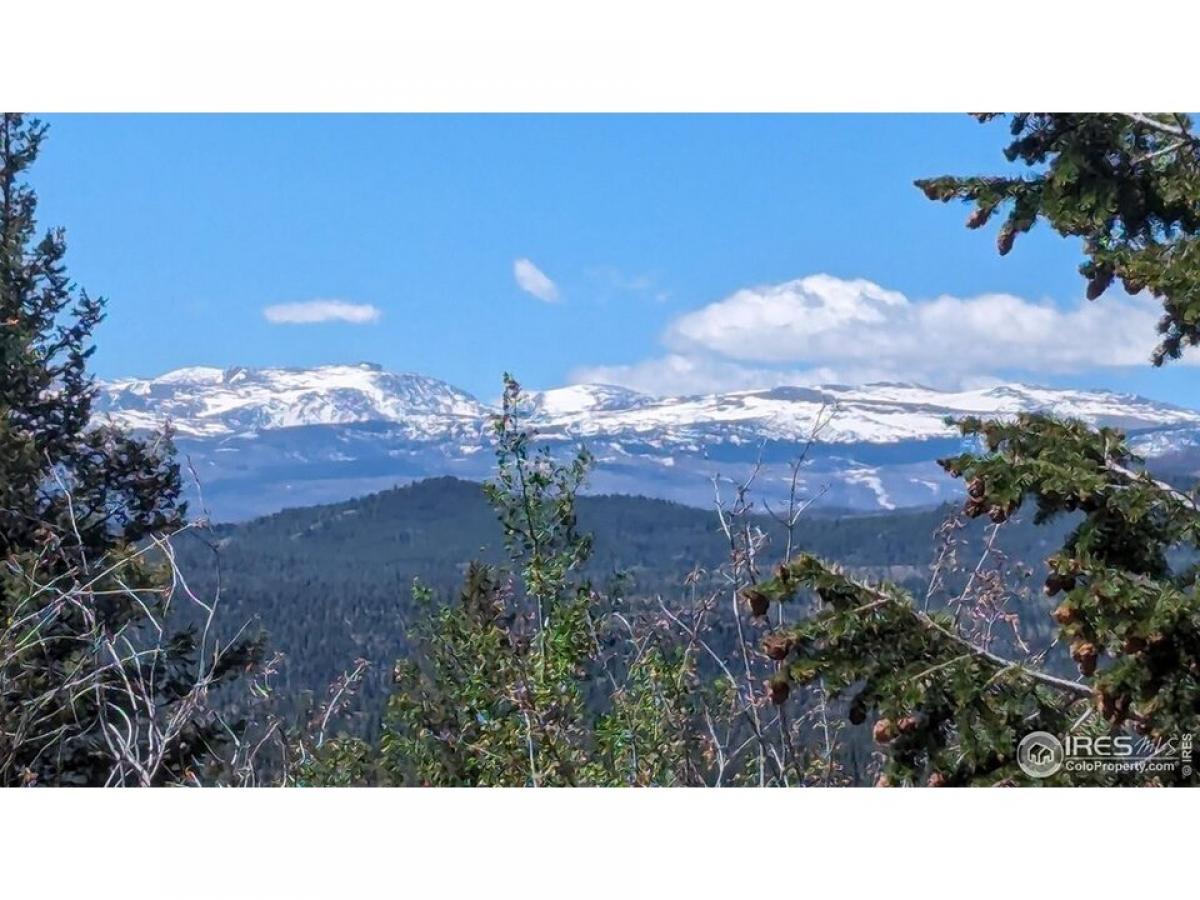 Picture of Residential Land For Sale in Red Feather Lakes, Colorado, United States