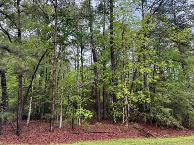 Residential Land For Sale in Coldspring, Texas