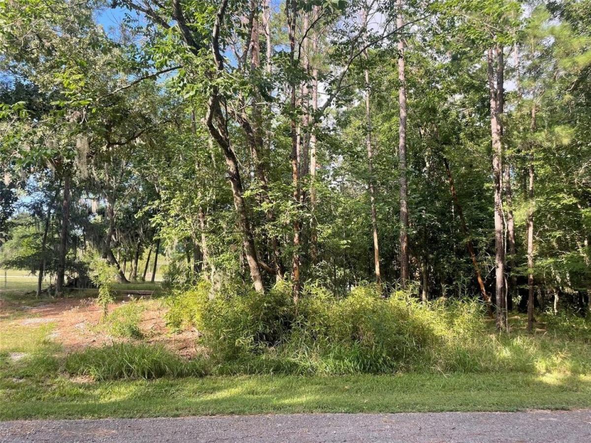 Picture of Residential Land For Sale in Coldspring, Texas, United States