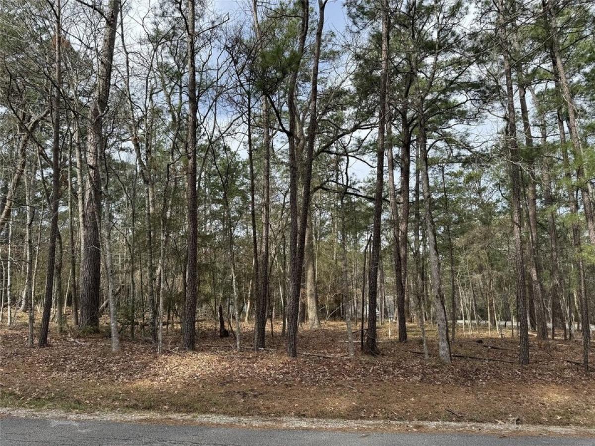 Picture of Residential Land For Sale in Coldspring, Texas, United States