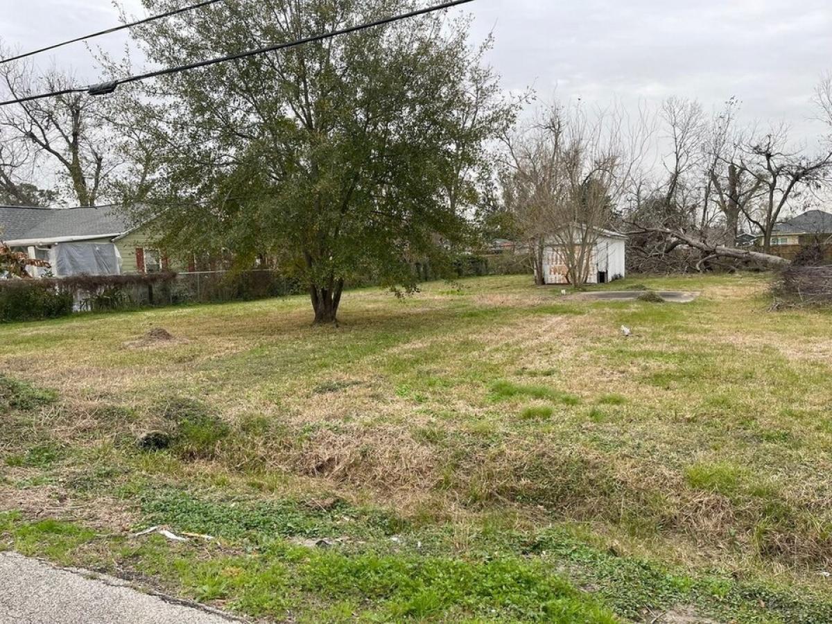 Picture of Residential Land For Sale in Houston, Texas, United States