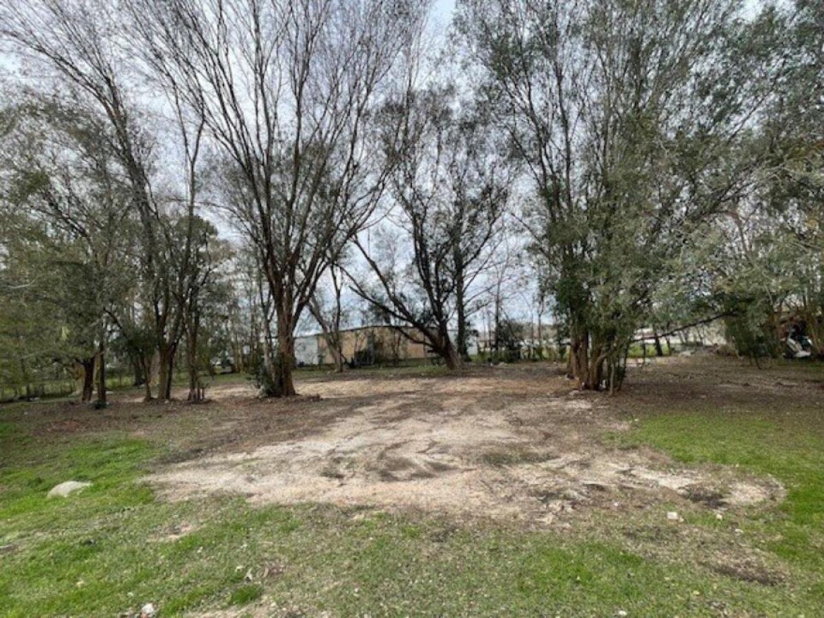 Picture of Residential Land For Sale in Manvel, Texas, United States