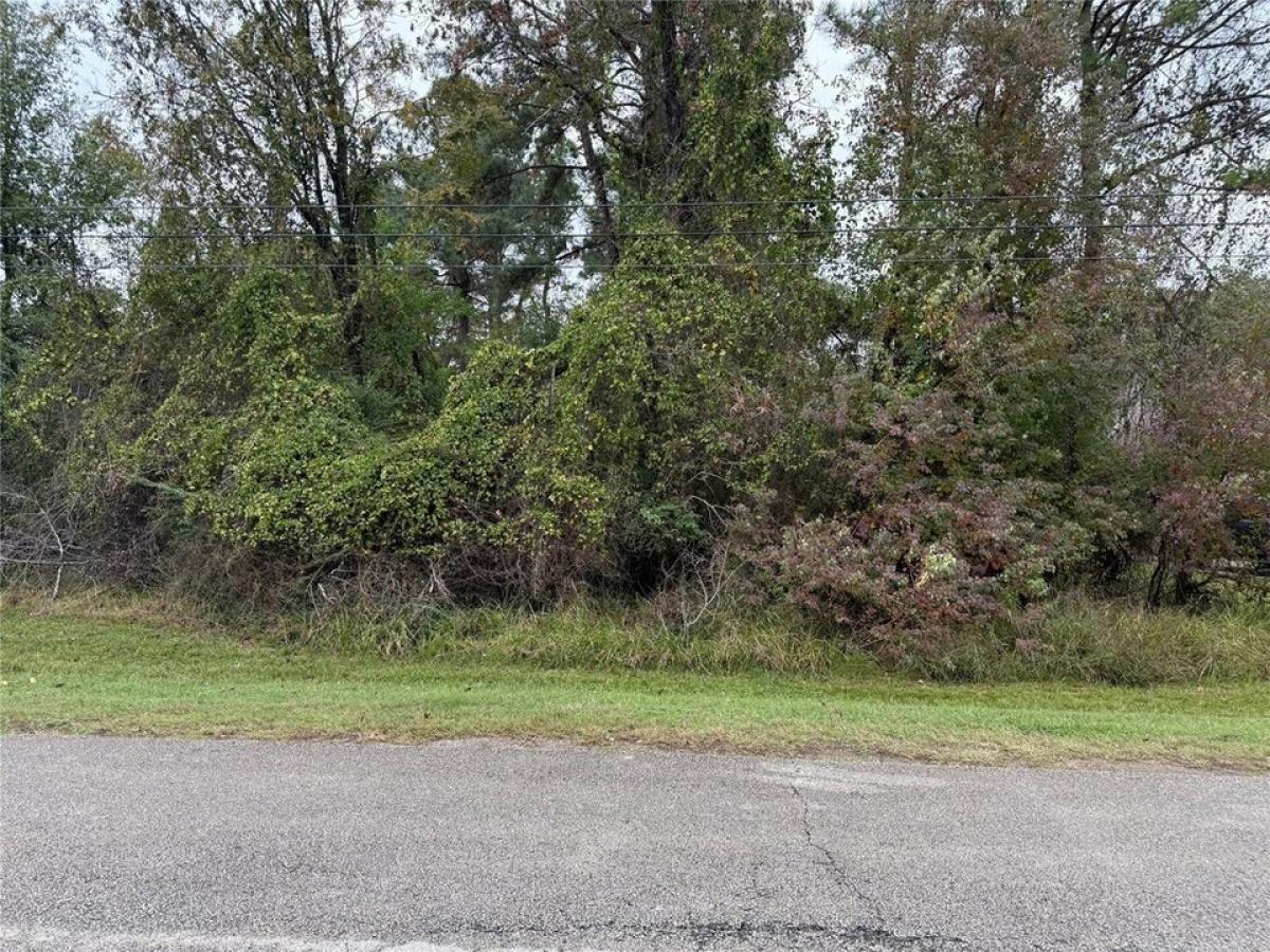 Picture of Residential Land For Sale in Magnolia, Texas, United States