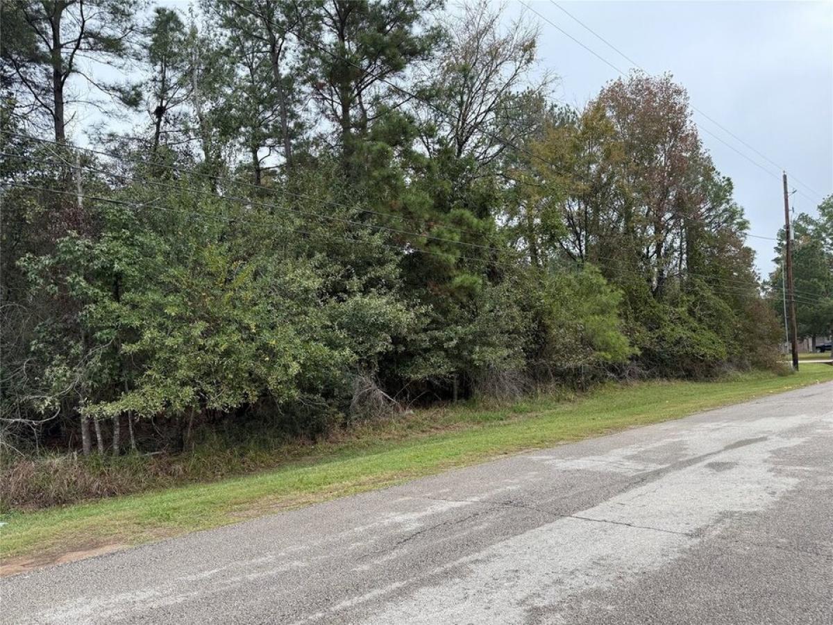 Picture of Residential Land For Sale in Magnolia, Texas, United States