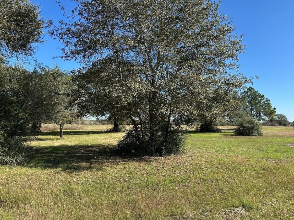 Picture of Residential Land For Sale in Waller, Texas, United States