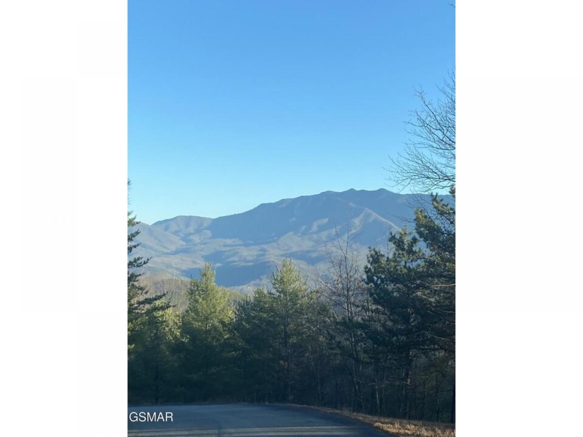 Picture of Residential Land For Sale in Gatlinburg, Tennessee, United States