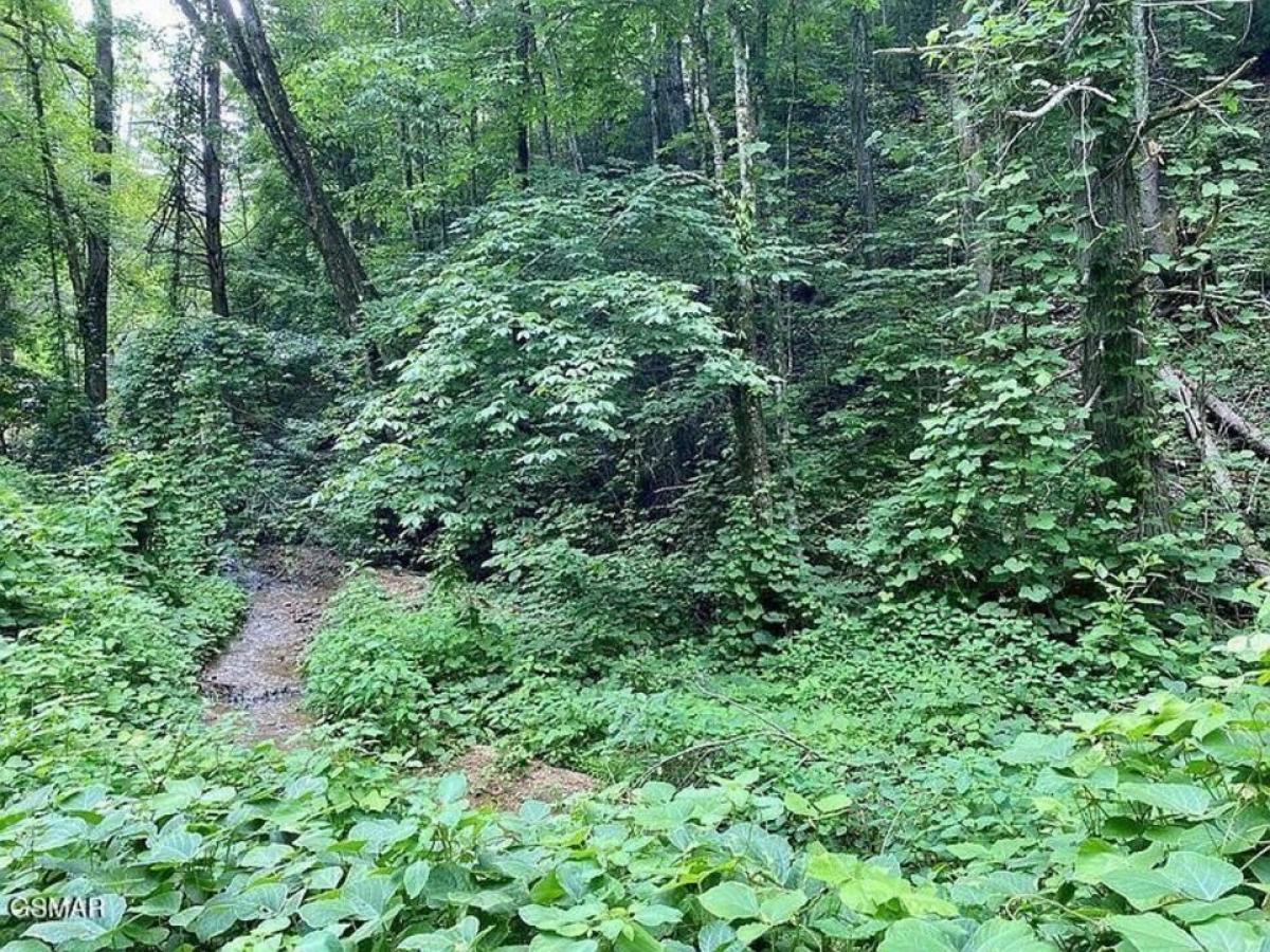 Picture of Residential Land For Sale in Sevierville, Tennessee, United States