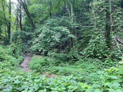 Residential Land For Sale in Sevierville, Tennessee