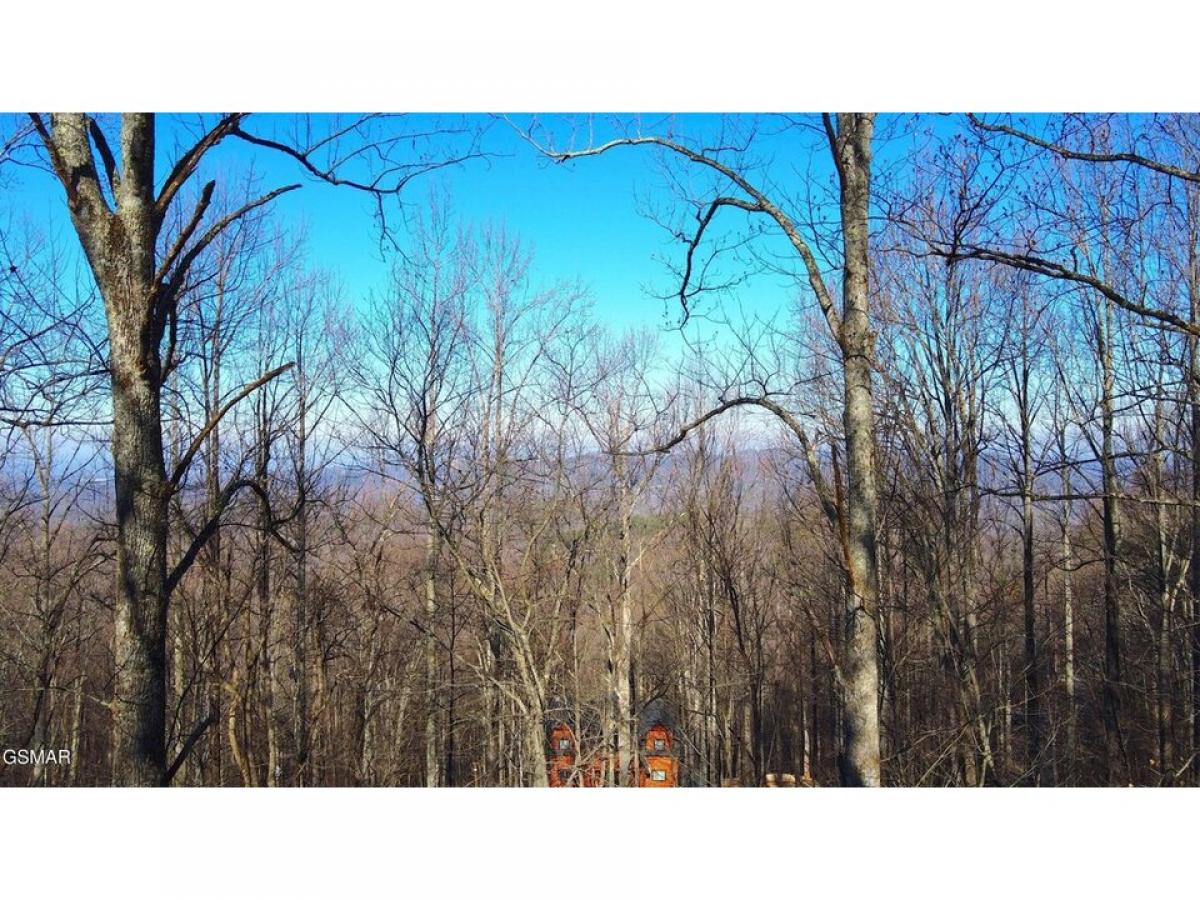 Picture of Residential Land For Sale in Sevierville, Tennessee, United States