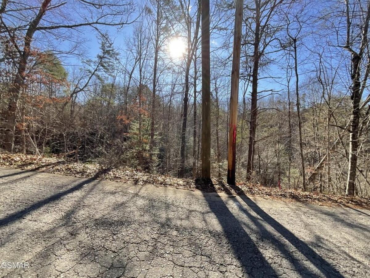 Picture of Residential Land For Sale in Sevierville, Tennessee, United States