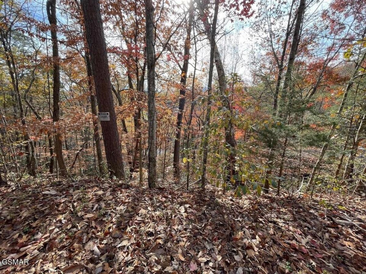 Picture of Residential Land For Sale in Pigeon Forge, Tennessee, United States