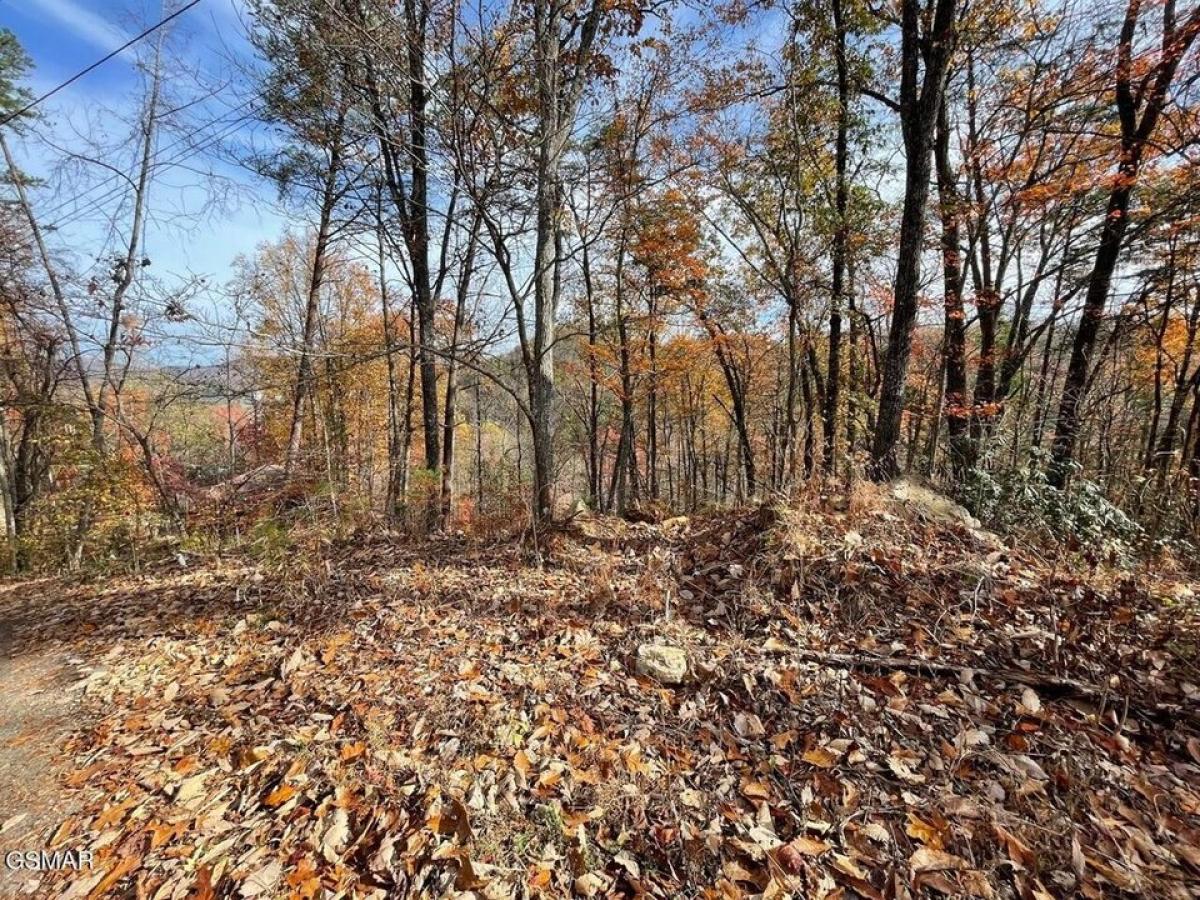 Picture of Residential Land For Sale in Pigeon Forge, Tennessee, United States