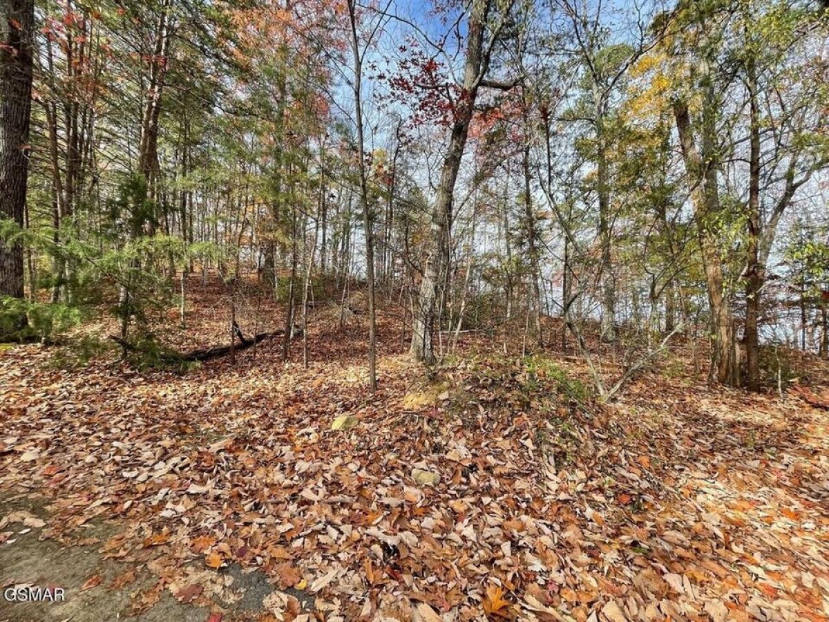 Picture of Residential Land For Sale in Pigeon Forge, Tennessee, United States