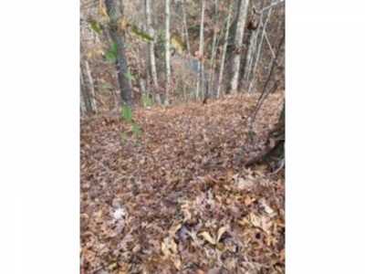 Residential Land For Sale in Pigeon Forge, Tennessee