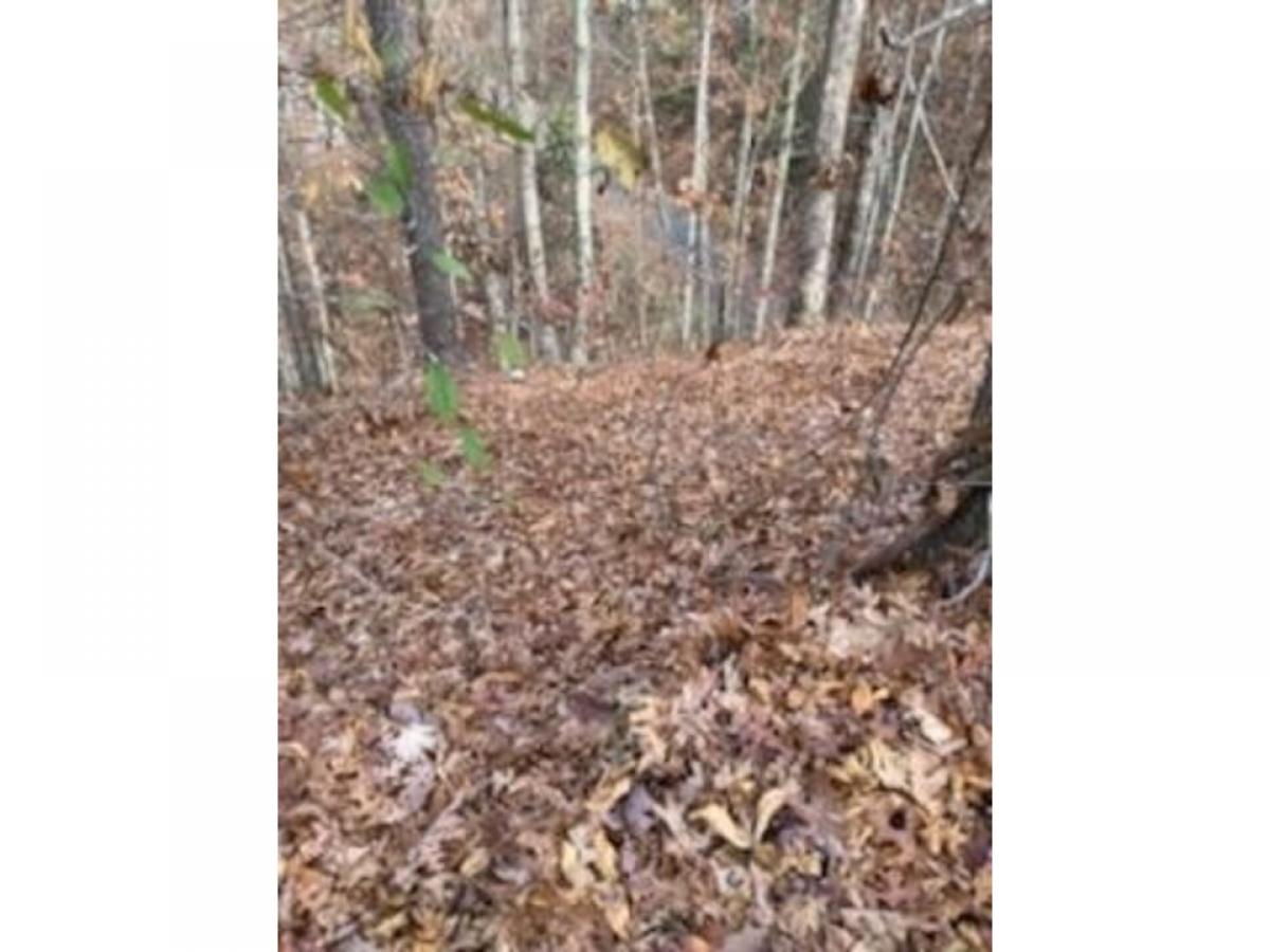 Picture of Residential Land For Sale in Pigeon Forge, Tennessee, United States