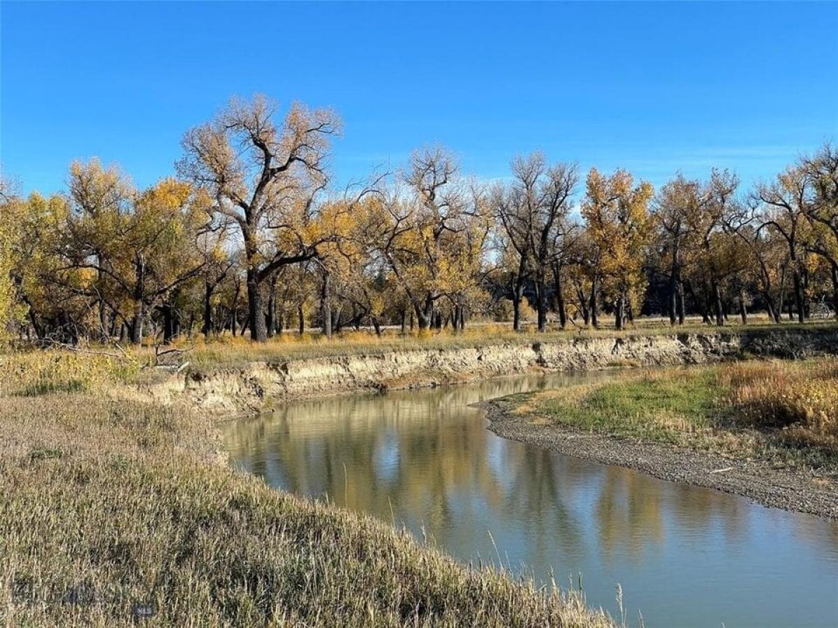 Picture of Farm For Sale in Roundup, Montana, United States