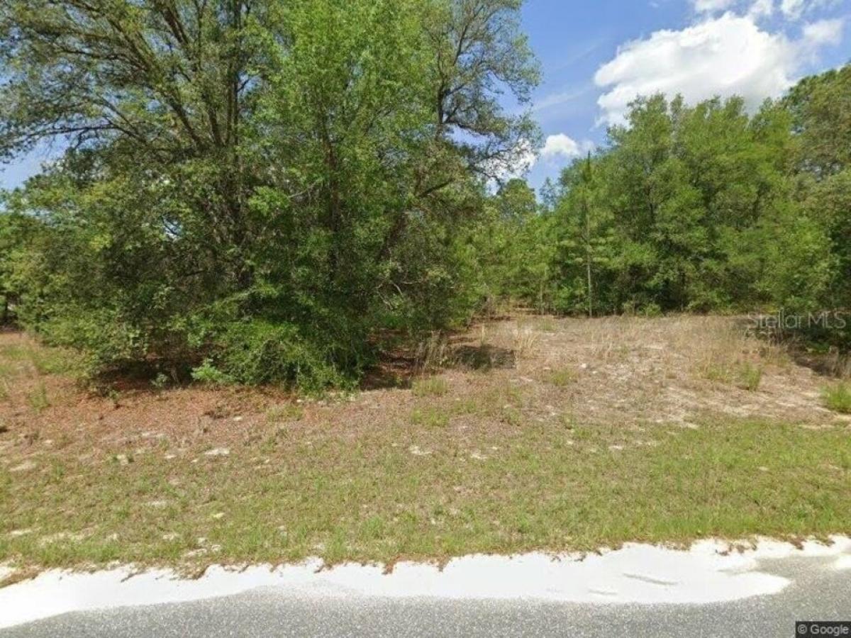 Picture of Residential Land For Sale in Citrus Springs, Florida, United States