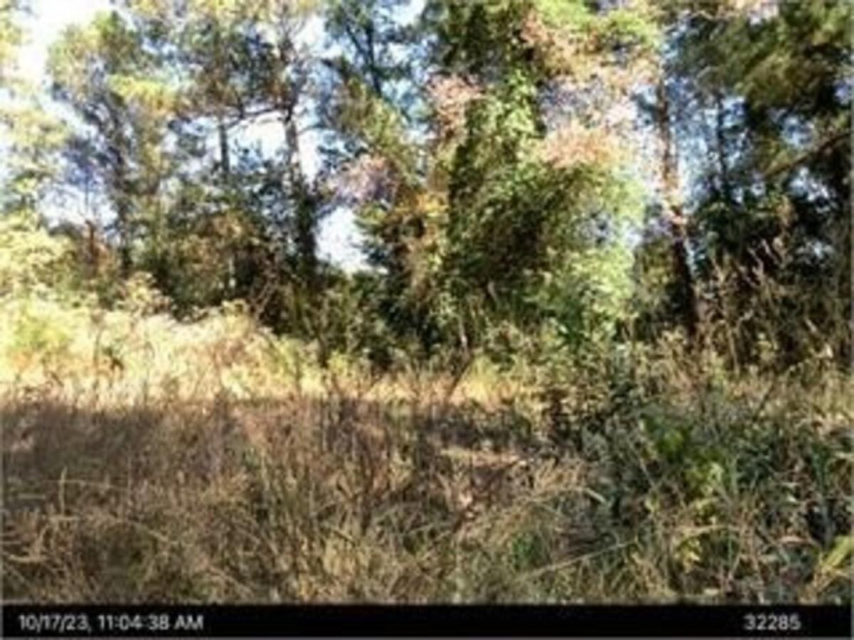 Picture of Residential Land For Sale in Dalton, Georgia, United States