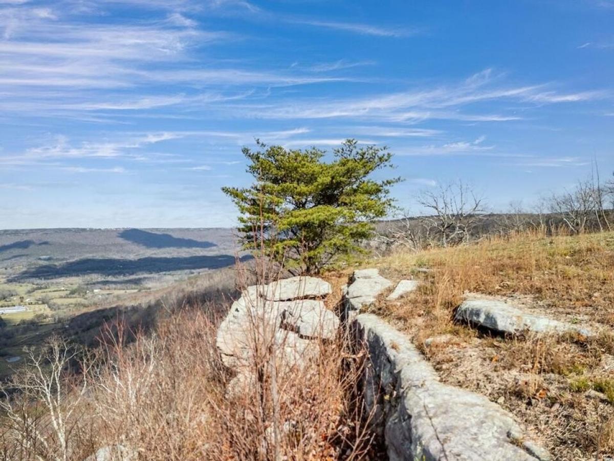 Picture of Residential Land For Sale in Menlo, Georgia, United States