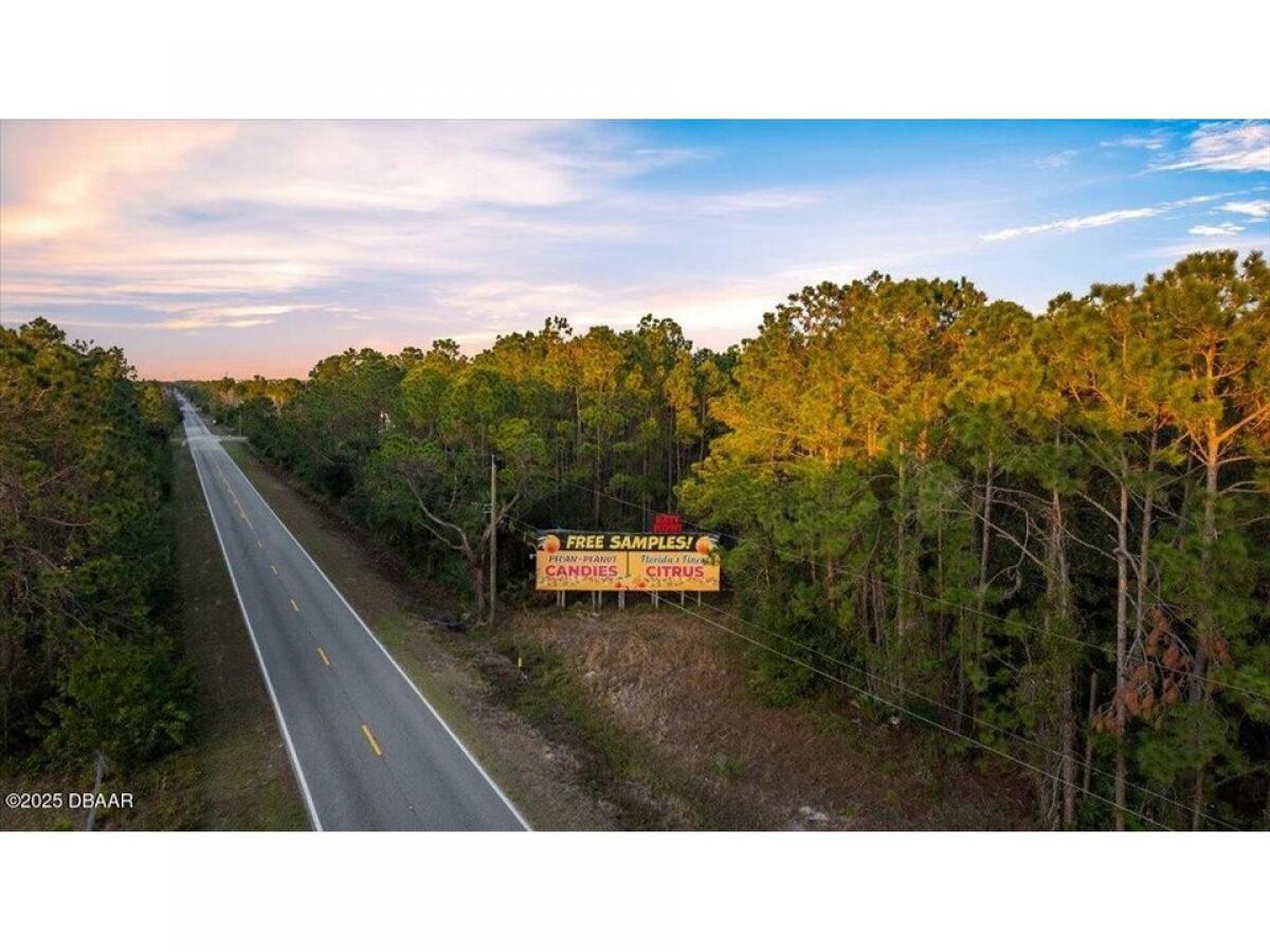 Picture of Residential Land For Sale in Ormond Beach, Florida, United States