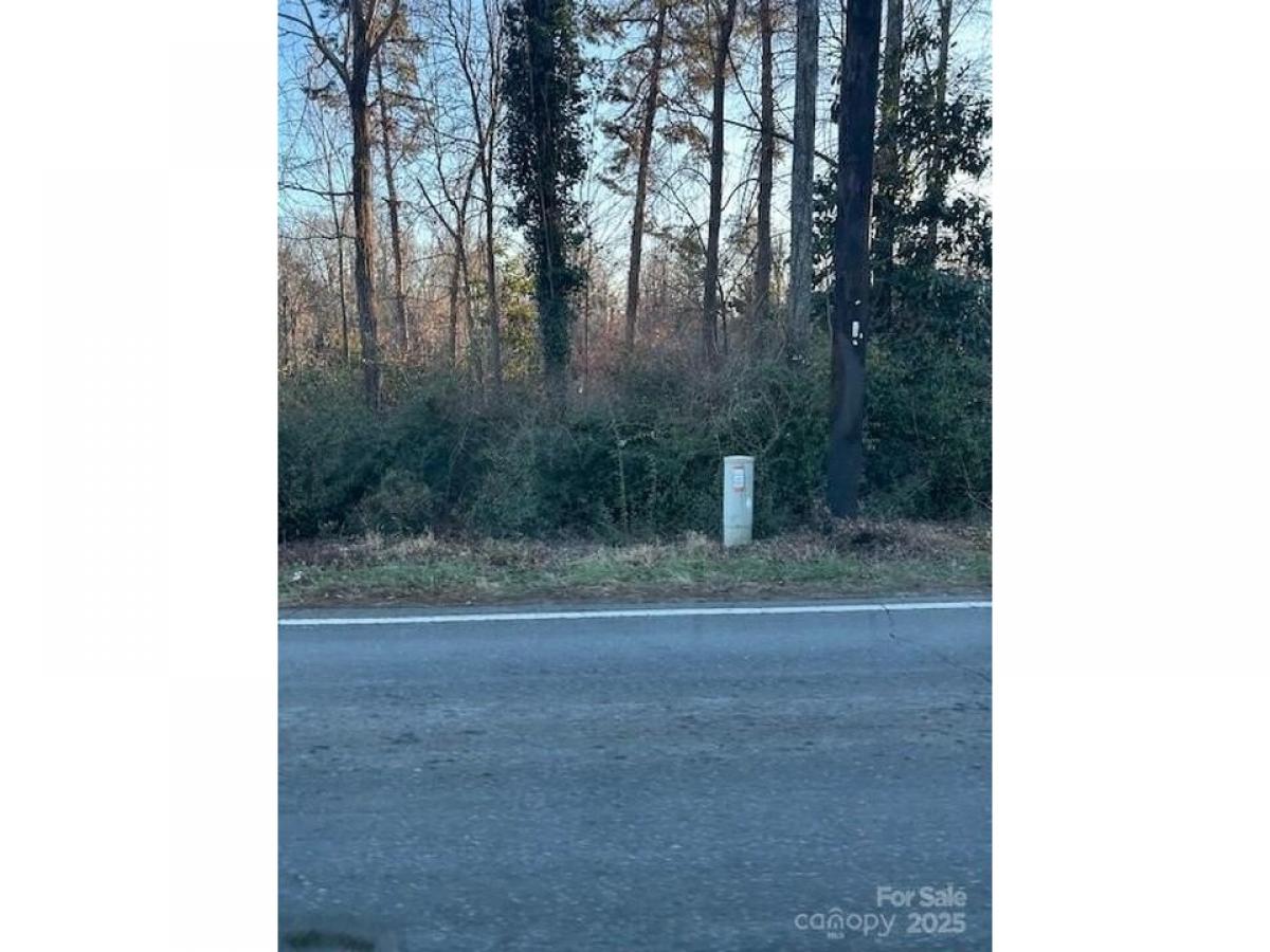 Picture of Residential Land For Sale in Rutherfordton, North Carolina, United States